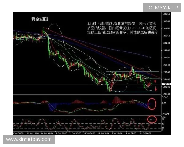 独家解析杭州篮球队配合策略与对手的差异与优势分析